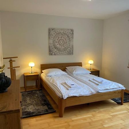 Cozy, Sunny, City Center 1 Bedroom Flat Curych Exteriér fotografie