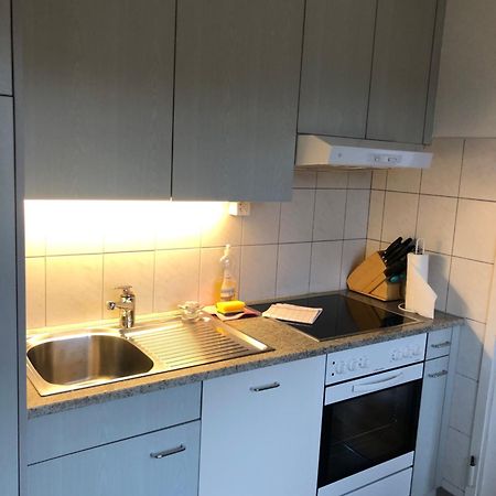 Cozy, Sunny, City Center 1 Bedroom Flat Curych Exteriér fotografie