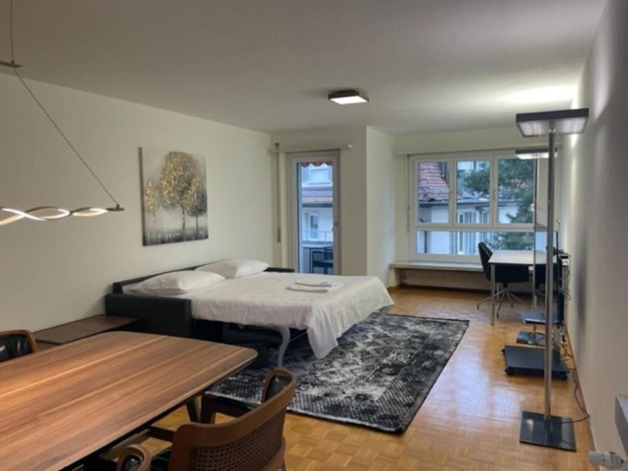 Cozy, Sunny, City Center 1 Bedroom Flat Curych Exteriér fotografie